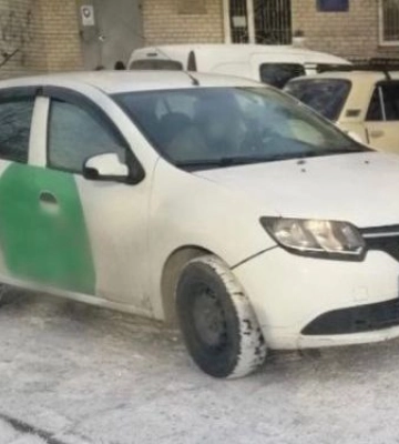 У Запоріжжі водій збив собаку та втік з місця ДТП - фото