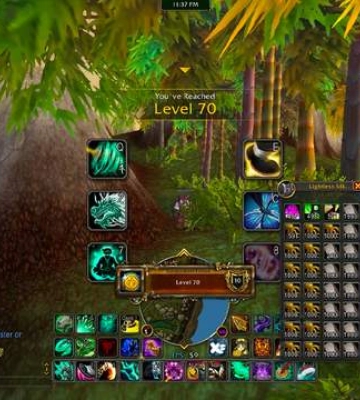 Гравець World of Warcraft досяг максимально рівня до прибуття на стартову локацію гри