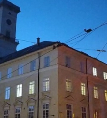 Сьогодні на Львівщині електроенергію не відключатимуть
