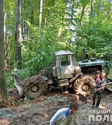 Викрав лісу на 450 тисяч гривень: судитимуть підприємця із Закарпаття