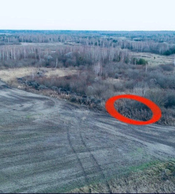На Волині троє браконьєрів вбили самця козулі, їх зафіксували камери