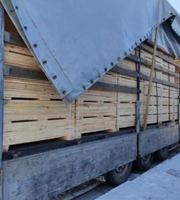 На кордоні на Закарпатті затримали незаконний вантаж лісоматеріалів (ФОТО)
