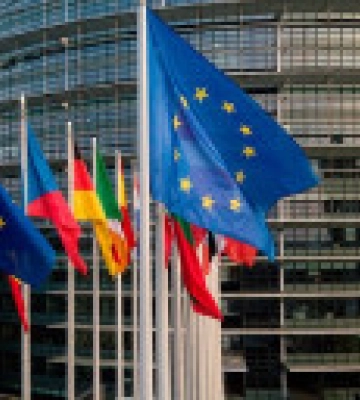 Саакашвили отправить на лечение, а против Иванишвили применить санкции: Европарламент принял резолюцию