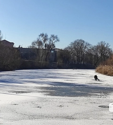 У Кривому Розі діє заборона на вилов щуки