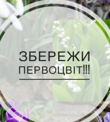 В Киеве открыли охоту на торговцев первоцветами: суммы штрафов