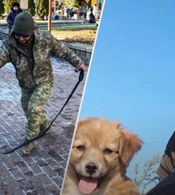 Віз цуценя з Бахмута: у Черкасах військового не впустили в маршрутку