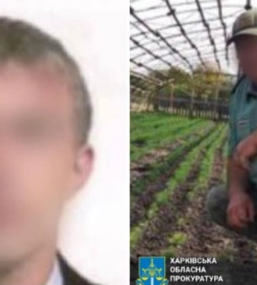 Древесина для блиндажей окупантов — двух лесников Харьковщины подозревают в госизмене