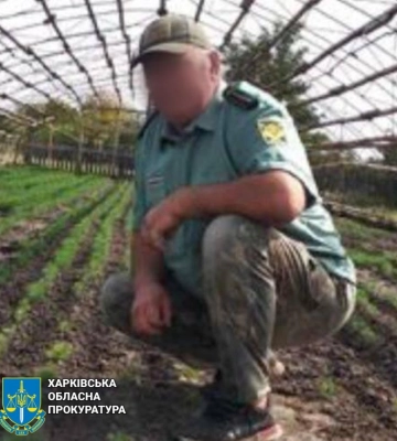 Деревина для бліндажів окупантів — двох лісників Харківщини підозрюють у держзраді