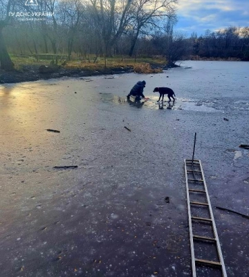 В Одесі чоловік та собака провалилися під кригу