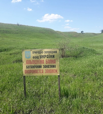 Под Харьковом раздали под дачи земли ботанического заказника — прокуратура