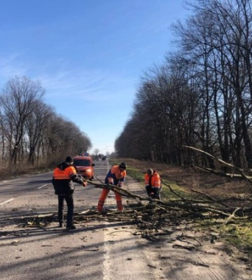Через пориви вітру на Львівщині зафіксовані відключення електроенергії