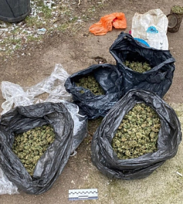 У криворожанина изъяли оружие и наркотики