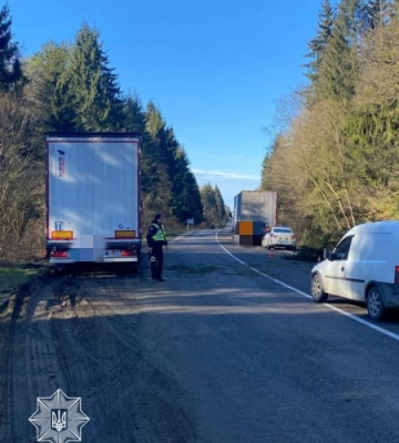 У Львівській області від вітру падають дерева (ФОТО)