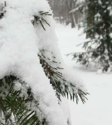 Погода у Полтаві 19 лютого