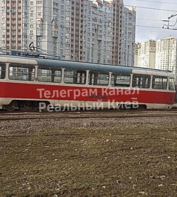 Смертельна автотроща у Києві: на Берестейському проспекті дві вантажівки розчавили легковик (ФОТО)
