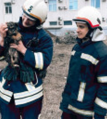 В Одесі провели незвичайну операцію з порятунку цуценяти