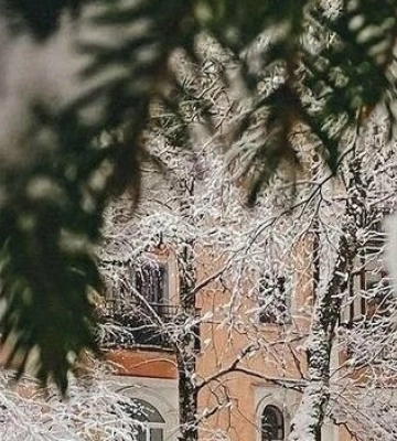 Погода у Полтаві  11 лютого