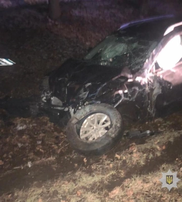 На Полтавщині зупинили п&#039;яного водія, який зніс транспортну зупинку