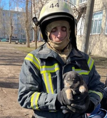У Дніпропетровській області на вулиці Бориса Джонсона врятували цуцика