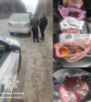 Житель Рівненщини перевозив у &quot;Лексусі&quot; 7-кілограмовий камінь бурштину-сирцю