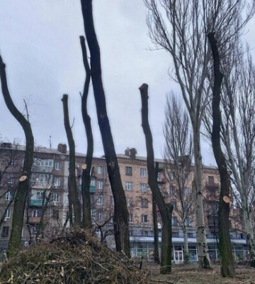 В Запорожье предлагают переименовать сквер Яланского в честь погибшего военного