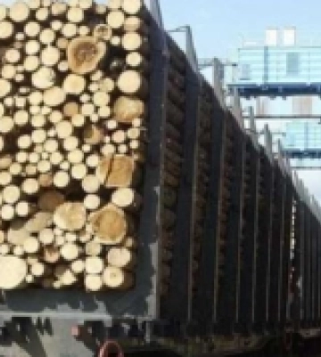 З Волині на Миколаївщину за зиму завезли 360 вагонів дров