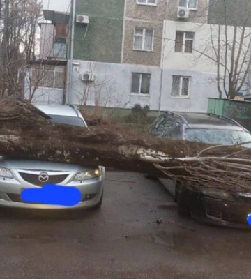 В Киевской и Одесской областях возможны аварийные отключения света: бурлит сильная непогода