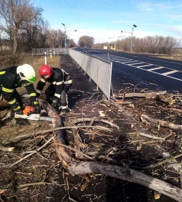 У Луцьку вітер зламав дерево та пошкодив лінію електропередач. Відео