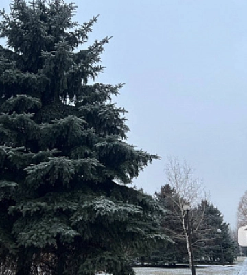Погода у Кривому Розі 22 лютого