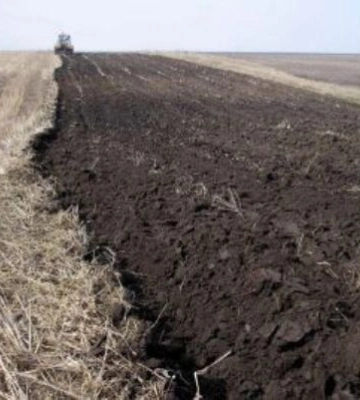 На Одещині до державної власності повернули землю