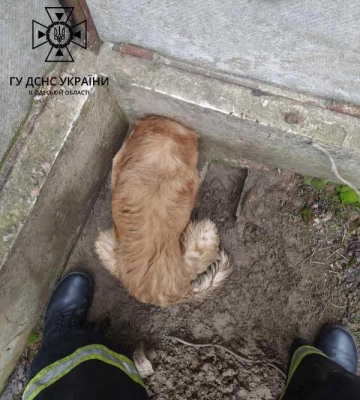 На Одещині провели успішну рятувальну операцію