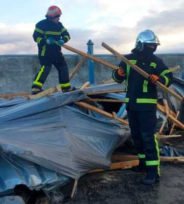У Чернівцях рятувальники прибрали дерево з електропередач, яке повалило вітром