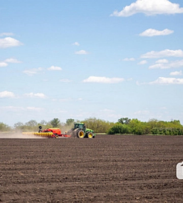 У Криворізькому районі зібрали понад 600 тонн зернових культур