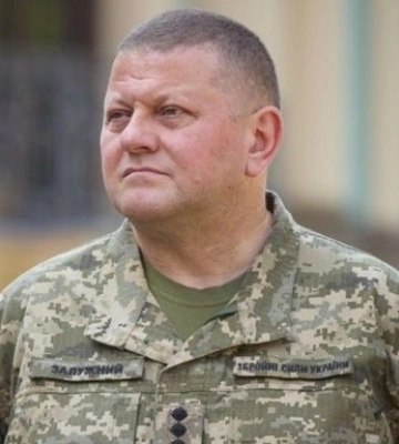 МЗС пояснило, чому Залужний пропустив зустріч із Байденом