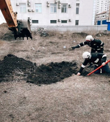 В Одесі врятували цуценя