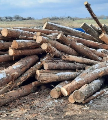 На Миколаївщині люди продовжують отримувати дрова від держави