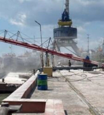 Холдинг «Агровіста» експортував понад 400 тис. тонн продукції за рік