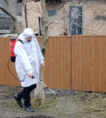 Через скажену лисицю в Квасилові ввели карантин