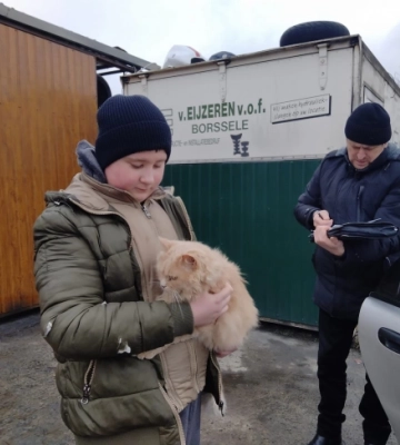 Через скажену лисицю в Квасилові ввели карантин