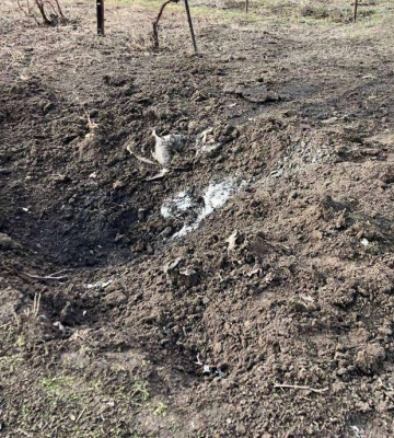 У Дніпропетровській області виявлено скажені лисиці