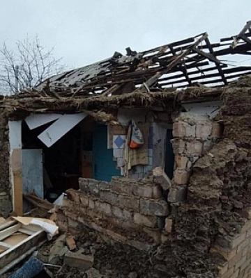 В результате обстрела Никопольского района погибли домашние животные