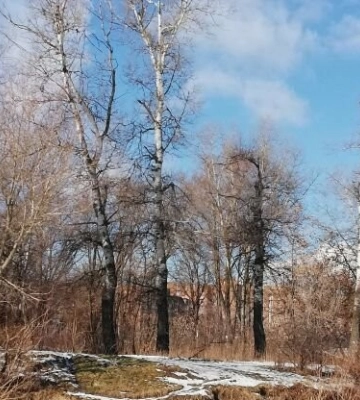Погода у Полтаві 27лютого