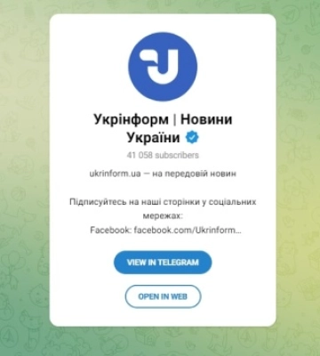 У Запоріжжі з-під завалів врятували кішку - відео у нашому Telegram-каналі