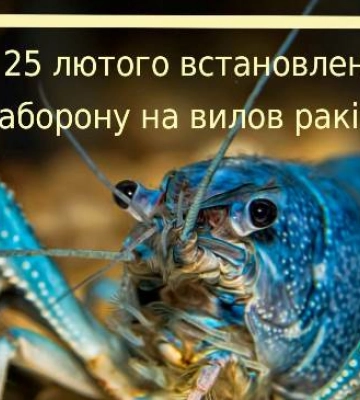 На Одещині встановлено чергову заборону