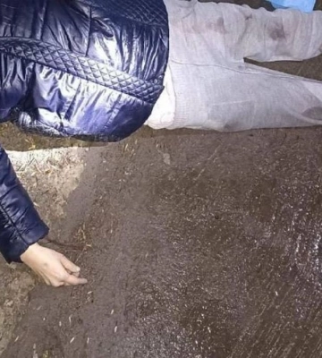 На Волині встановлюють особу жінки, яку на смерть збив водій «БМВ»