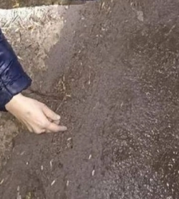 У Володимирі під колесами авто загинула жінка: встановлюють особу загиблої 