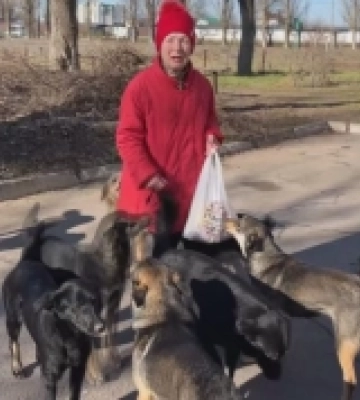 Зооволонтери вивозять покинутих тварин з Херсонщини у більш безпечні регіони ВІДЕО