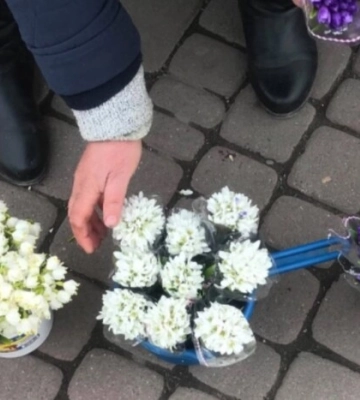 Киян закликають не купувати первоцвіти та нагадують про штрафи