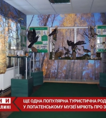 На Волині хочуть створити табір військово-патріотичного виховання (відео)