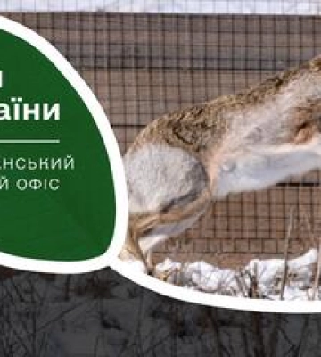 На Полтавщині нарахували понад 88000 хутрових звірів